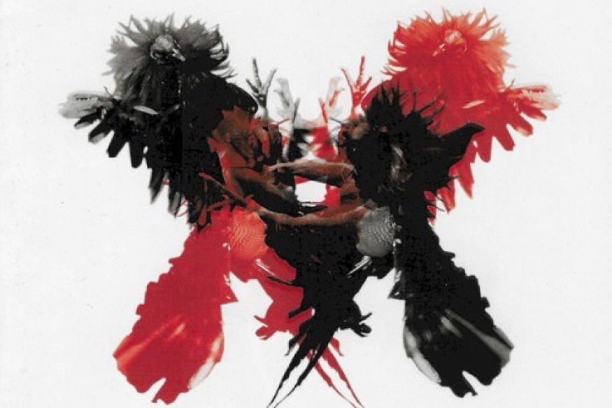 Only by the Night a 18 ans : le disque qui a fait entrer Kings of Leon dans les stades